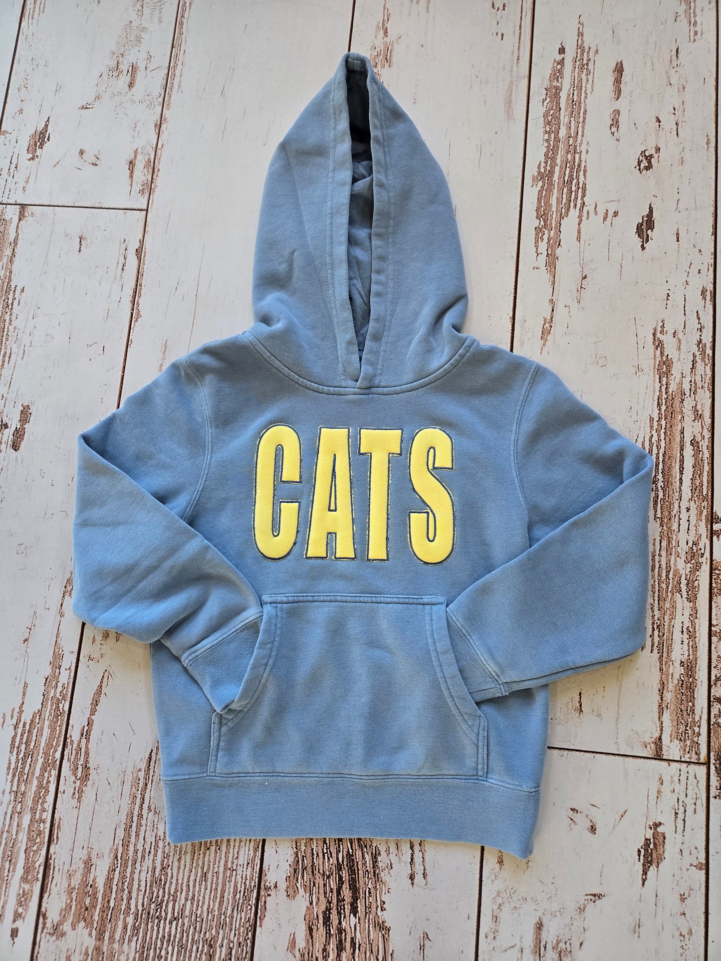 Youth Cats Inside Out Hoodie