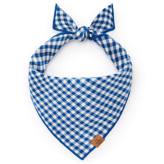 Lake Blue Gingham Summer Dog Bandana