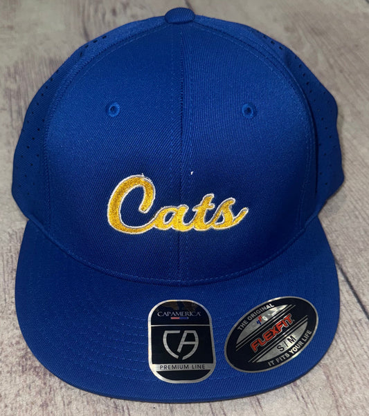 Cats Cap America Hat