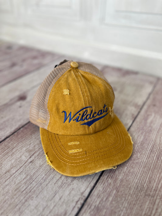 Wildcats Hat