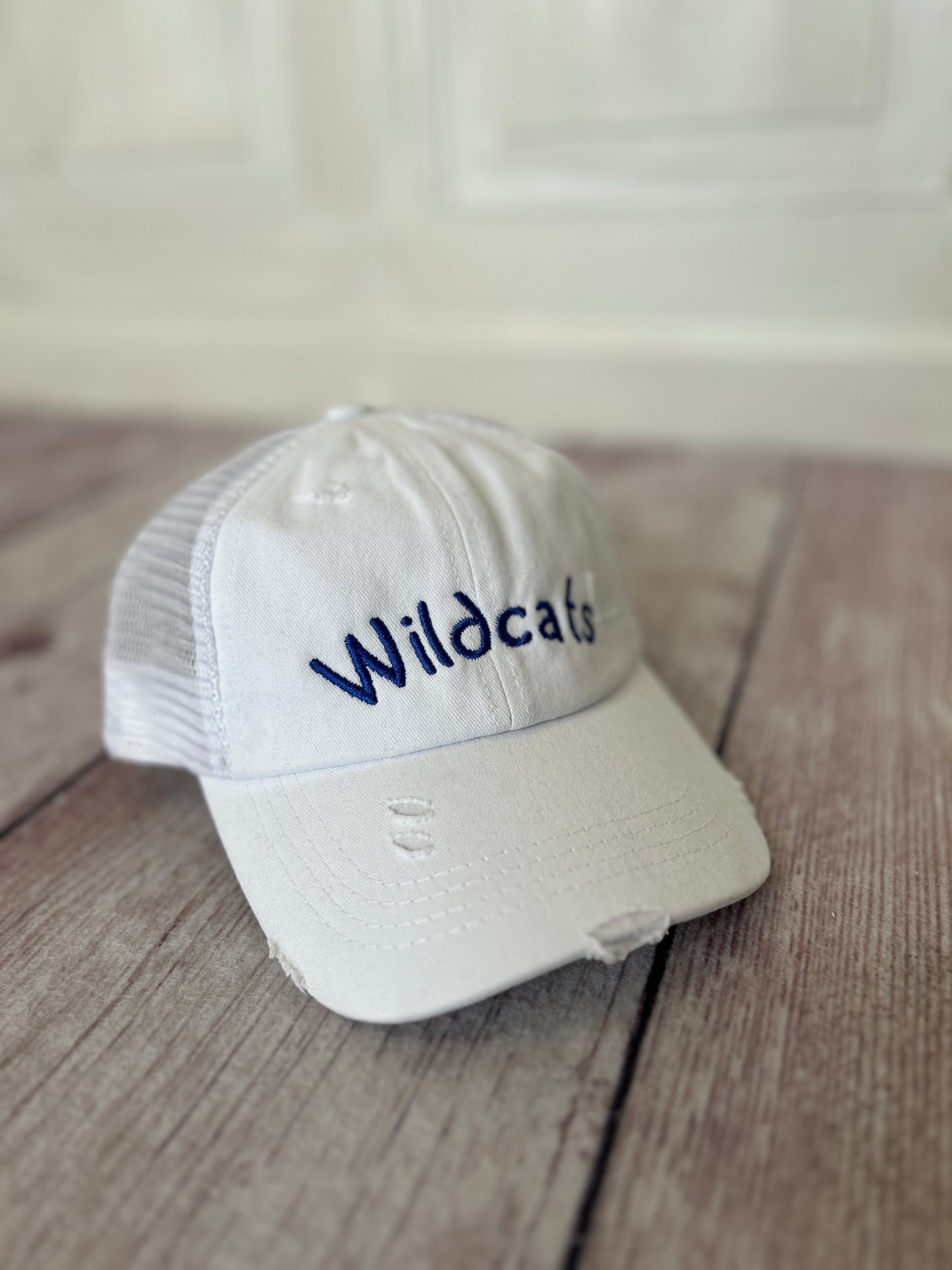 Youth Wildcats Hat
