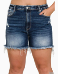 Plus Raw Frayed Hem Ripped Denim Shorts